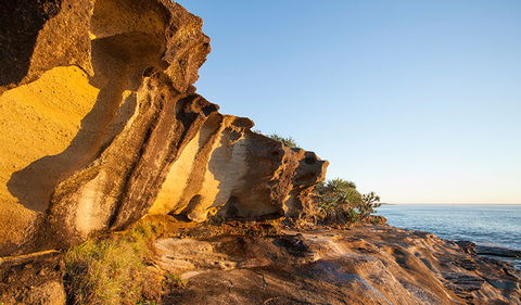 Angourie To Brooms Head - Winery Find 0
