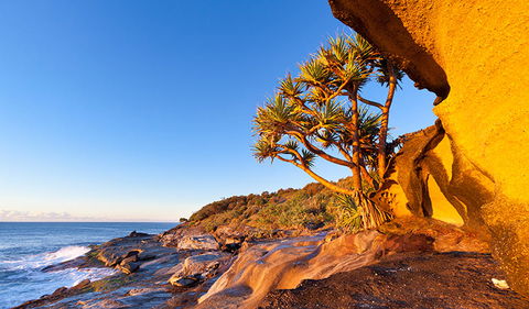 Angourie To Brooms Head - Winery Find 1