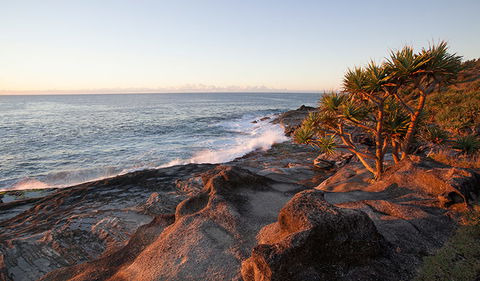Angourie To Brooms Head - Winery Find 2