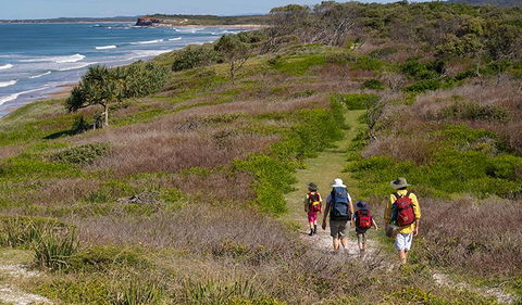 Angourie To Brooms Head - Winery Find 3