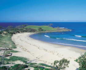 Angourie Beach - Winery Find 1