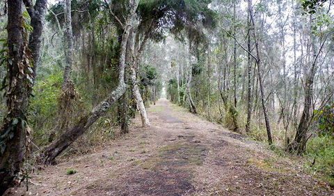 Walk On Water Walking Track - Winery Find 2