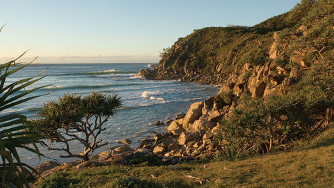 Arakoon National Park - Winery Find 2