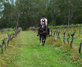 Port Macquarie Horse Riding Centre - Winery Find 1