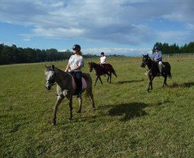 Port Macquarie Horse Riding Centre - Winery Find 5