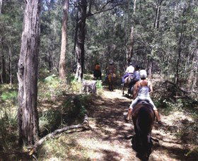 Port Macquarie Horse Riding Centre - Winery Find 4