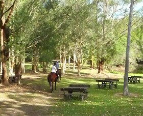 Port Macquarie Horse Riding Centre - Winery Find 6