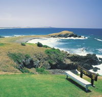 Killick Beach - Winery Find