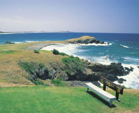 Killick Beach - Winery Find 0