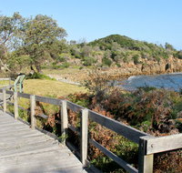 Mimosa Rocks walking track - Winery Find