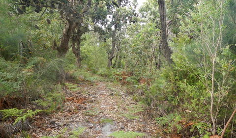 Kinchela Trig Lookout Walk - Winery Find 0