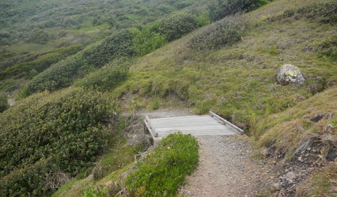 Connors Walking Track - Winery Find 2