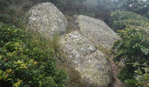 Korogoro Walking Track - Winery Find 2