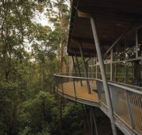 Tarkine Forest Adventures - Dismal Swamp - Winery Find