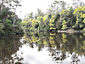 Arthur River TAS Winery Find