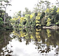 Arthur River - Winery Find