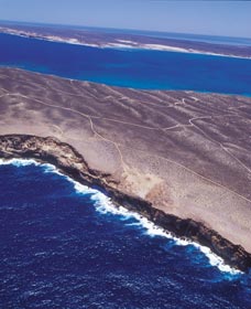 Zuytdorp Cliffs - Winery Find 1