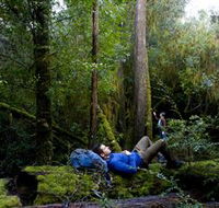 The Tarkine Drive - Winery Find