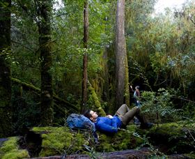 The Tarkine Drive - Winery Find 0