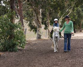 Mirravale Horse Riding School - Winery Find 2