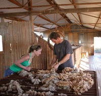 Peron Homestead - Winery Find