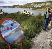 Rocky Cape National Park - Winery Find