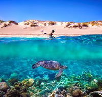 Snorkel the Ningaloo Reef - Winery Find