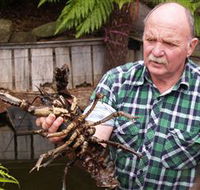 Lobster Ponds - Winery Find