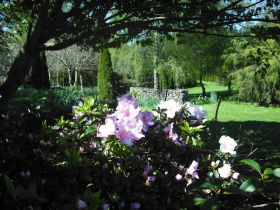 Annsleigh Gardens And Cafe - Winery Find 3