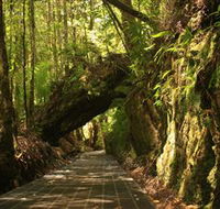 Philosopher Falls - Winery Find