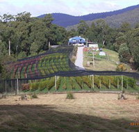 Motton Terraces - Winery Find