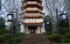 South Coast Scenic Tours - thumb 0