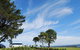 South Coast Scenic Tours - thumb 6