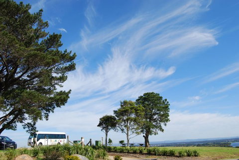 South Coast Scenic Tours - Winery Find 6