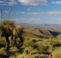 4WD Aussie Outback Adventures - Winery Find