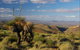 4WD Aussie Outback Adventures - thumb 3