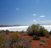 Gawler Ranges Wilderness Safaris - Winery Find