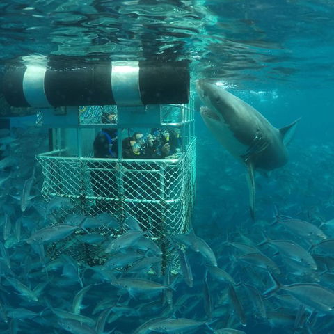 Calypso Star Charters - Winery Find 10