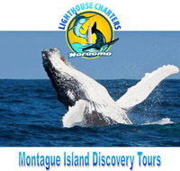 Lighthouse Charters Narooma - Winery Find