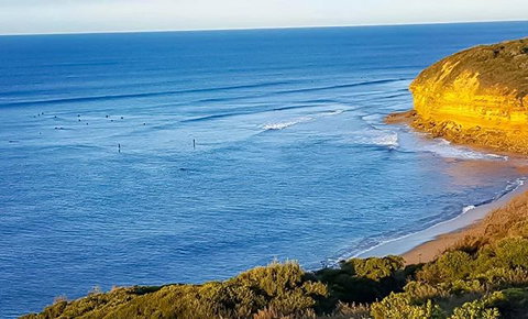 Great Ocean Road Surf Tours - Winery Find 5