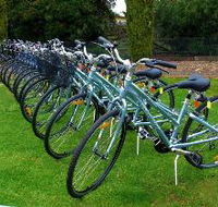 Barossa Bike  - Winery Find