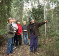 Great Western Tiers Forest Walks Tasmania - Winery Find
