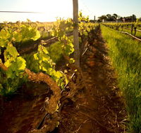 Kaesler Old Vine Vineyard Tour - Winery Find