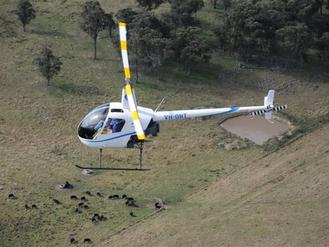 Fleet Adventures - Winery Find 19