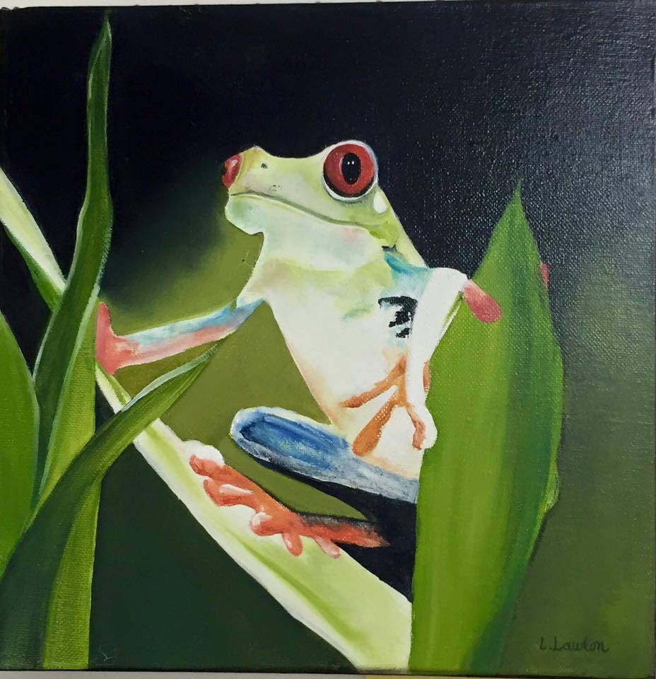 Gorokan NSW Winery Find