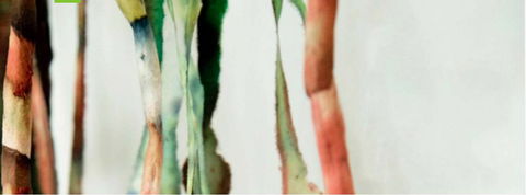 Watch This Space - Winery Find 1