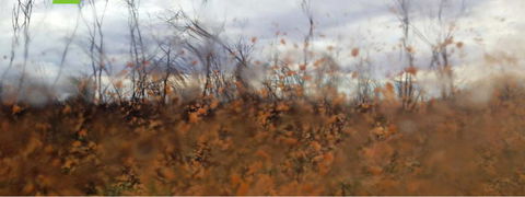 Watch This Space - Winery Find 2