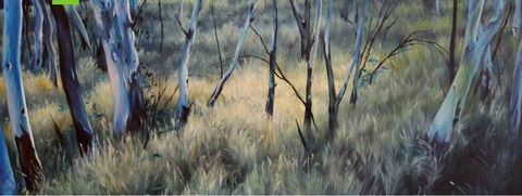 Watch This Space - Winery Find 3