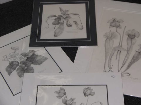 Masterpiece Framing & Gallery - Winery Find 2