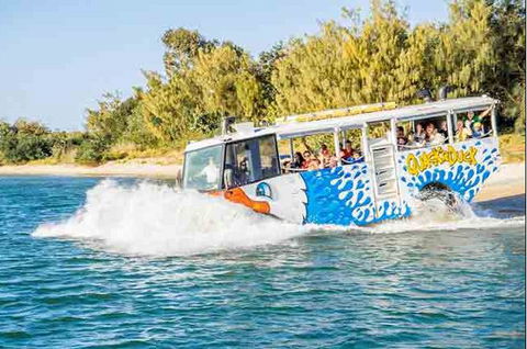 Quackr Duck - Winery Find 1